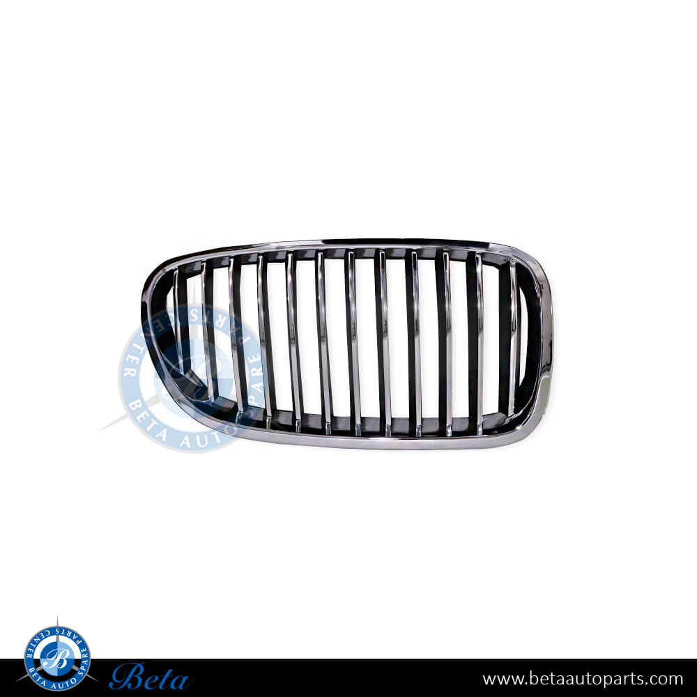 Right Side Grille for BMW 5 Series F10 2010-2013 models, Part Number 51137203650 Right Side Grille for BMW 5 Series F10 2010-2013 models, Part Number 51137203650